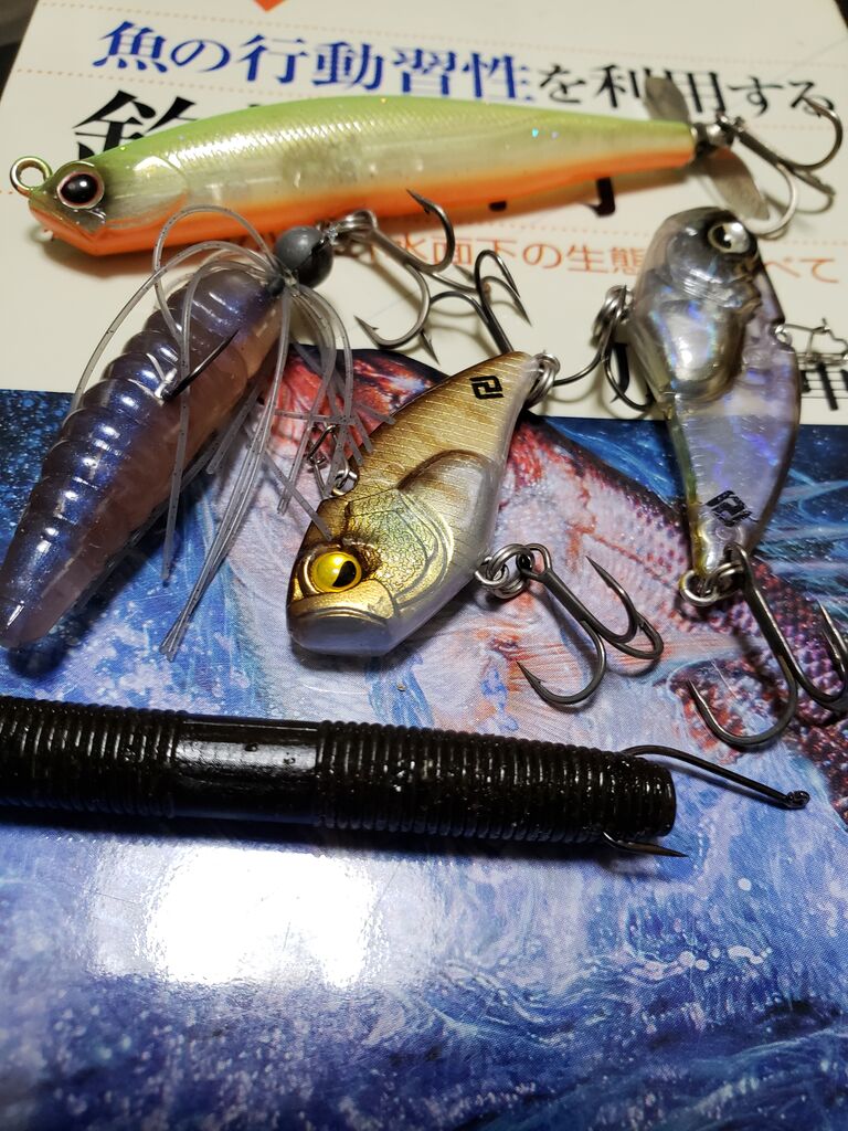 へっぽこ釣行記 6 10 野池 ステイン マッディー 小規模ダム クリア ステイン 数釣りしてみた 目標30匹 まさかの50アップ おかっぱりバサー へっぽこ 釣行記 バス釣り ハードルアーだけで勝負 シャローマン プチストロング バイク釣