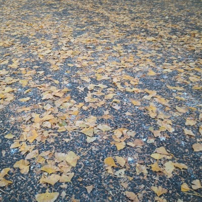 立川7