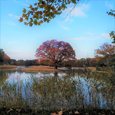 立川2