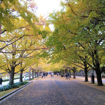 立川6
