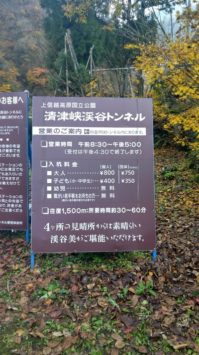 2011151