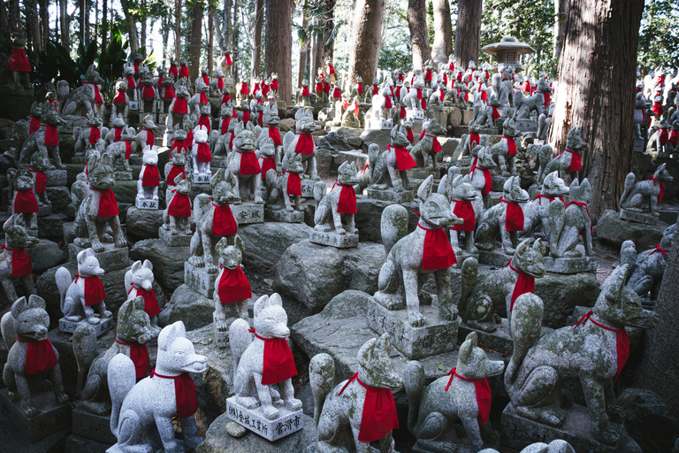 zubotty906DSC_4254_TP_V