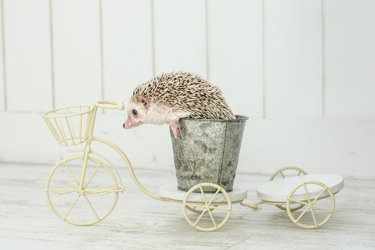 KAZUHIRO171013285_TP_V