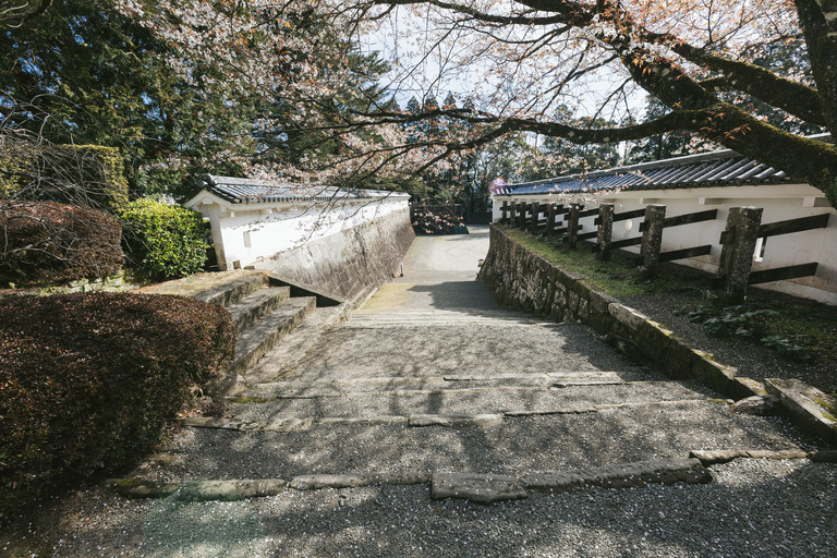 nichinanIMGL9592_TP_V