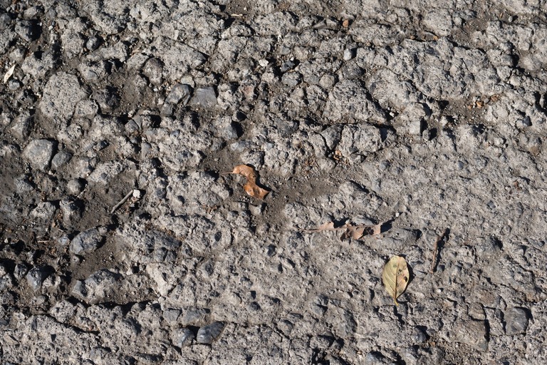 PEZ_08ameagarinotuchitex_TP_V