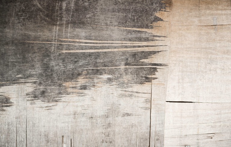 PAK75_hagaretaki20150125125457_TP_V