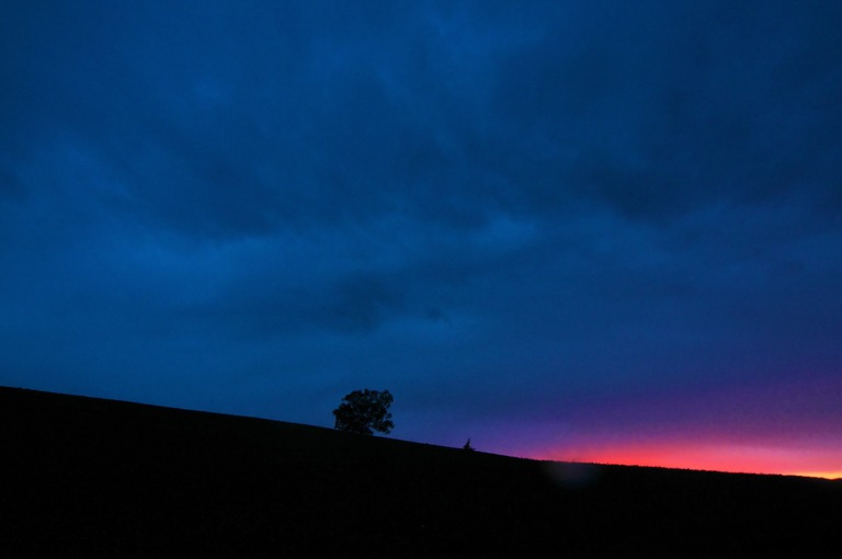 OHhokkaido_IMG42301_TP_V