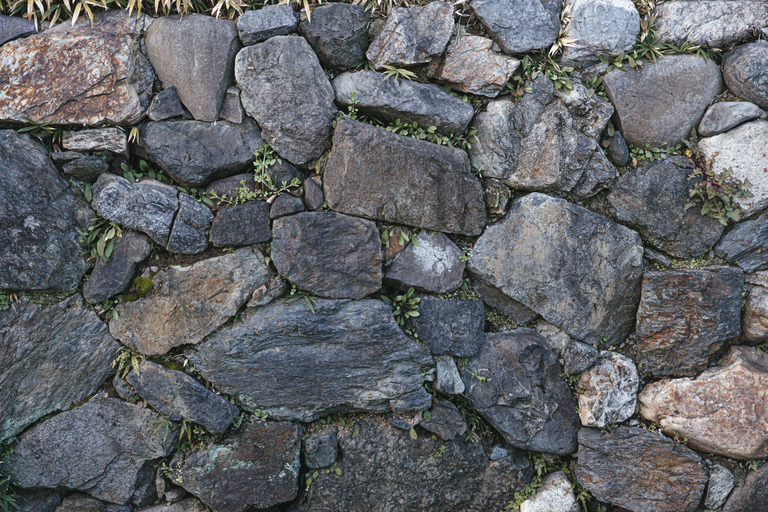 texture458A0519_TP_V