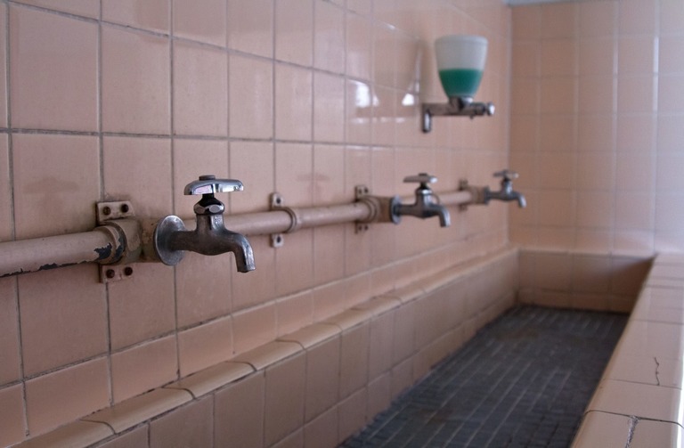 C789_kuchitatearaiba_TP_V