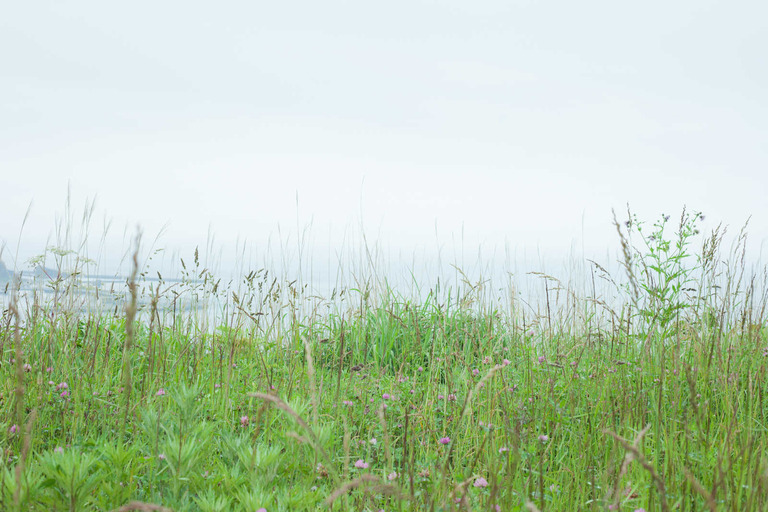 TSU753_hitoribocchi_TP_V