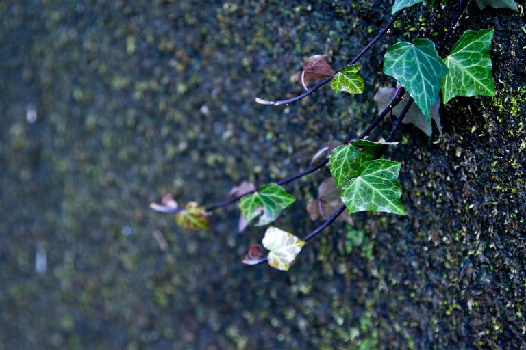 FSC_simettabasyonoturu_TP_V