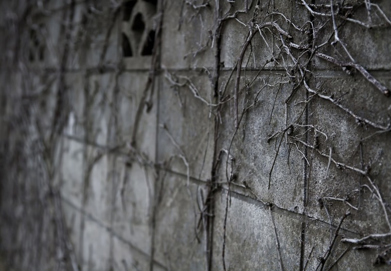 IUK_tutagahauburokkubei_TP_V