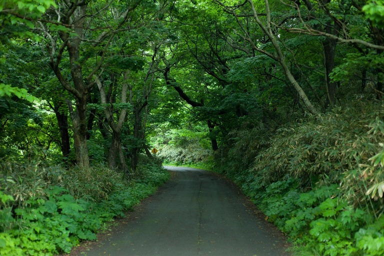 TSU863_cyottosakigakowai_TP_V