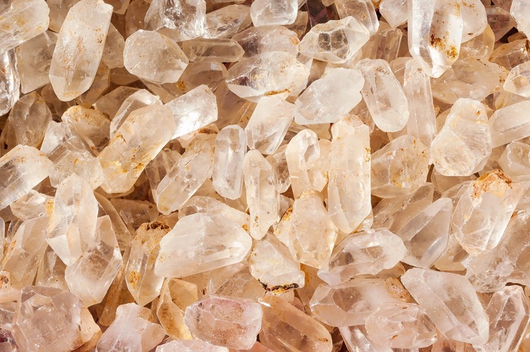 ELL84_tennesekitex1322_TP_V