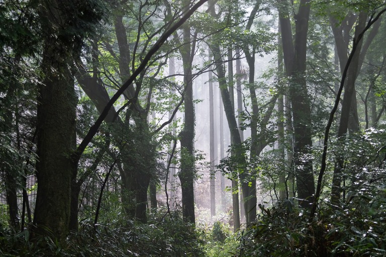 PPW_eiganosetnoyounajyukai_TP_V