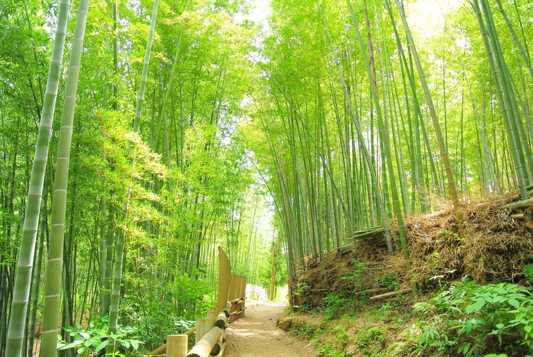 yuka_chikurin_TP_V