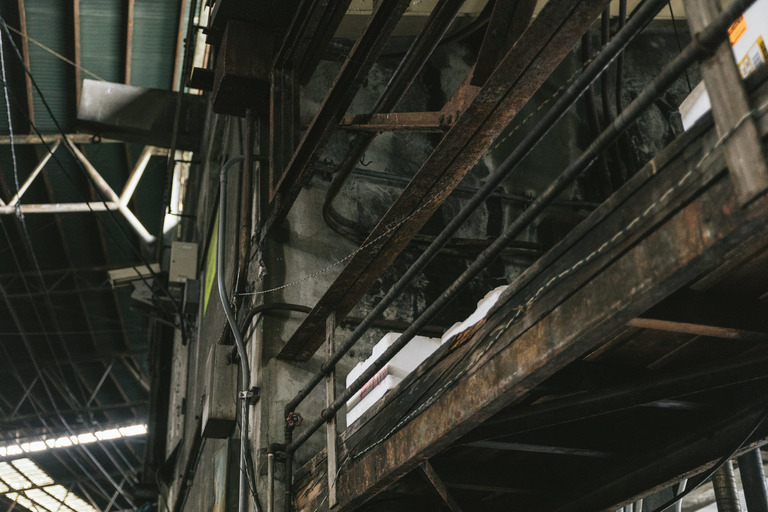 gori_TS9V9A8101_TP_V