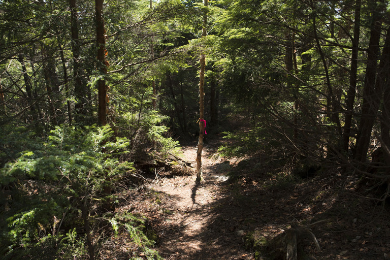 自分の30mくらい先に黒い人影