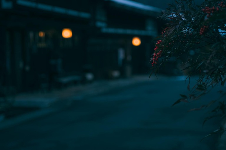 「……見たよね？」