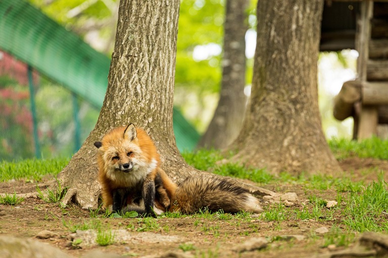 泣いて泣いてしょうがないから食っていいか