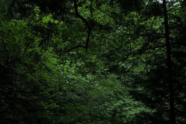 yudai_2491400013_TP_V