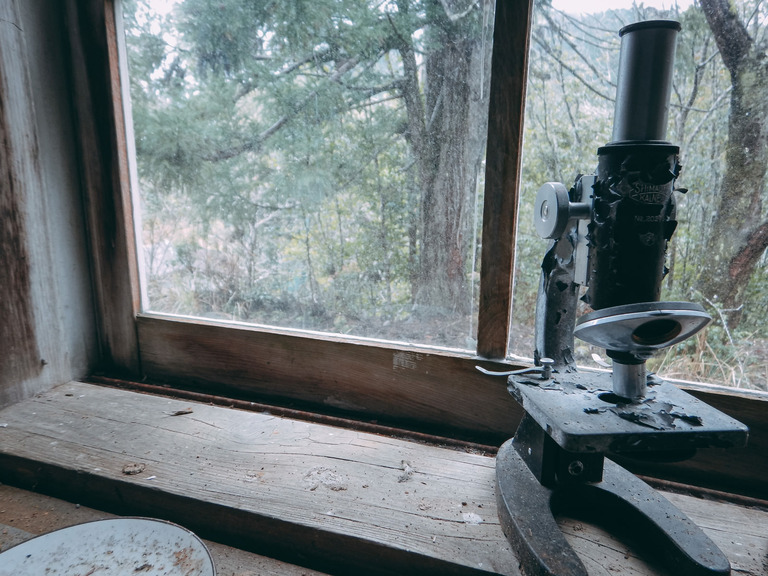 夜中にその廃校に忍び込んだ