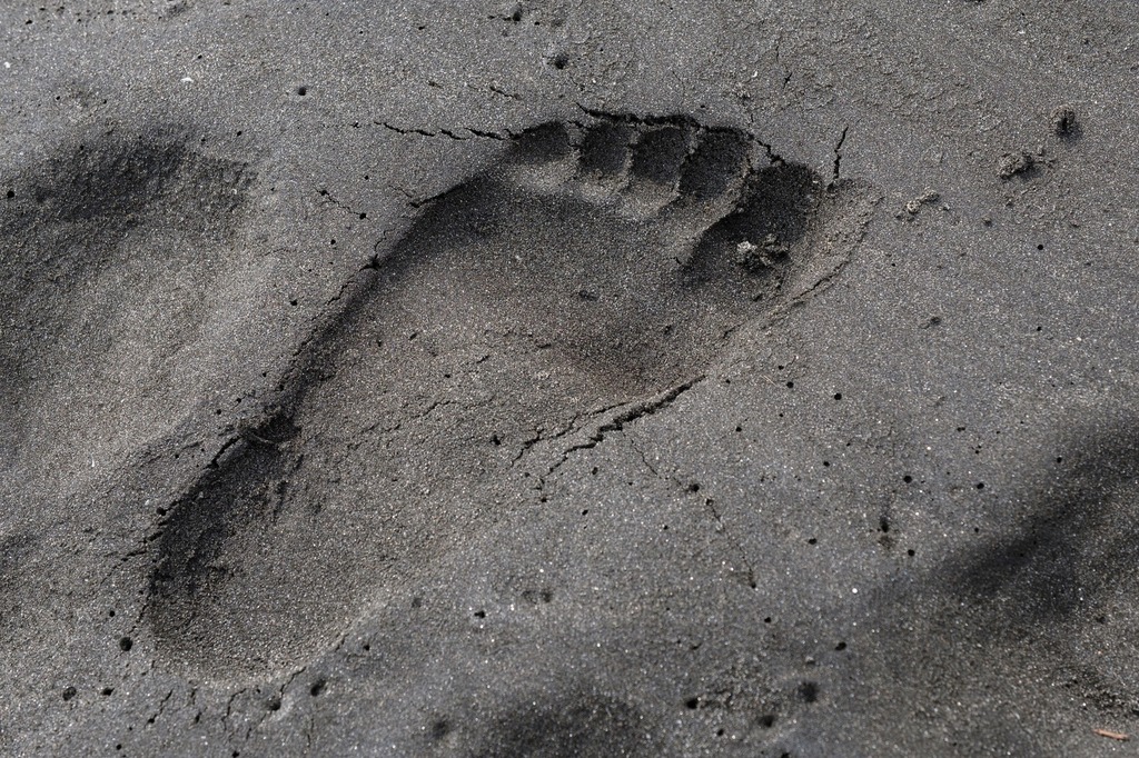 a7c718e5.jpg