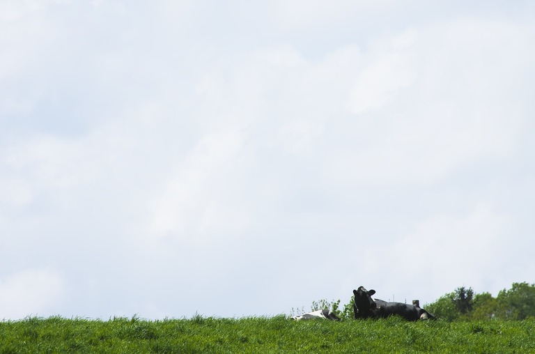 「うん、ベントウゥ」という低い声