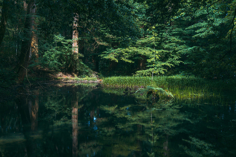伊賀市、名張の心霊スポット何かない？
