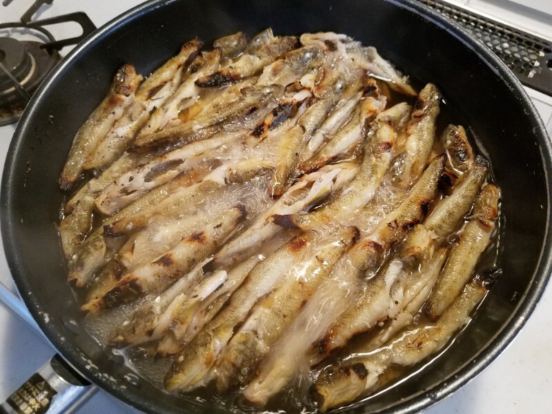 10月3日 鍋田 ハゼ 30匹 鮎 長良川 けんちょびの釣りブログ