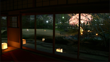 0902_現代アート茶会