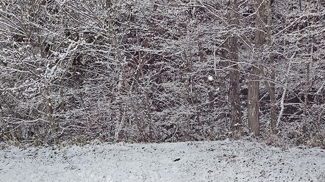 IMG_20230102_100336272