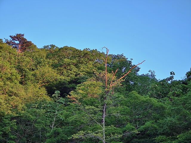 IMG_20220523_180522472