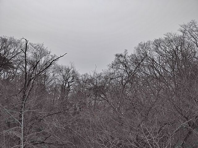 IMG_20220219_102835815