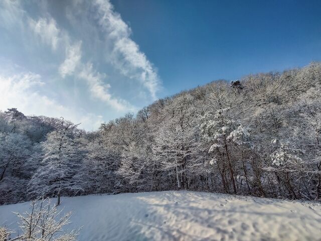 IMG_20220211_091422843_HDR_edited_edited (640x480)