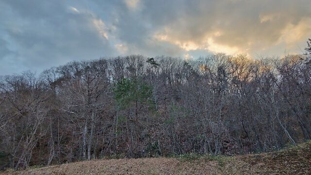 IMG_20230108_160259572_HDR (640x360)