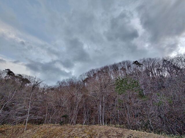 IMG_20220331_174117294_HDR