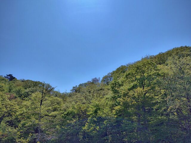 IMG_20220504_113429922_HDR