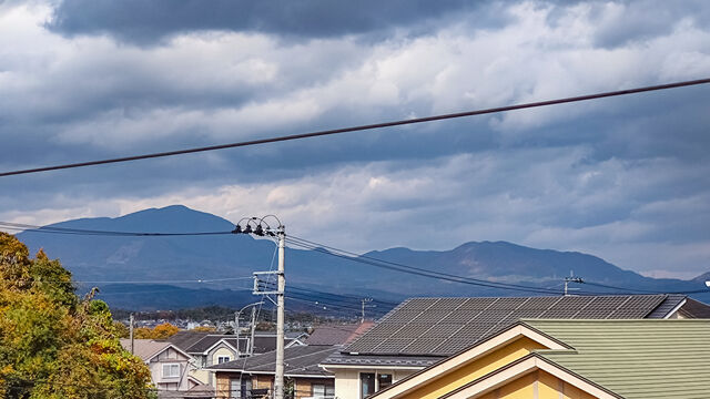 IMG_20221105_102124865_edited_ex