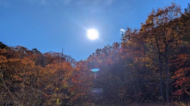 PXL_20251117_015827178 (640x360)