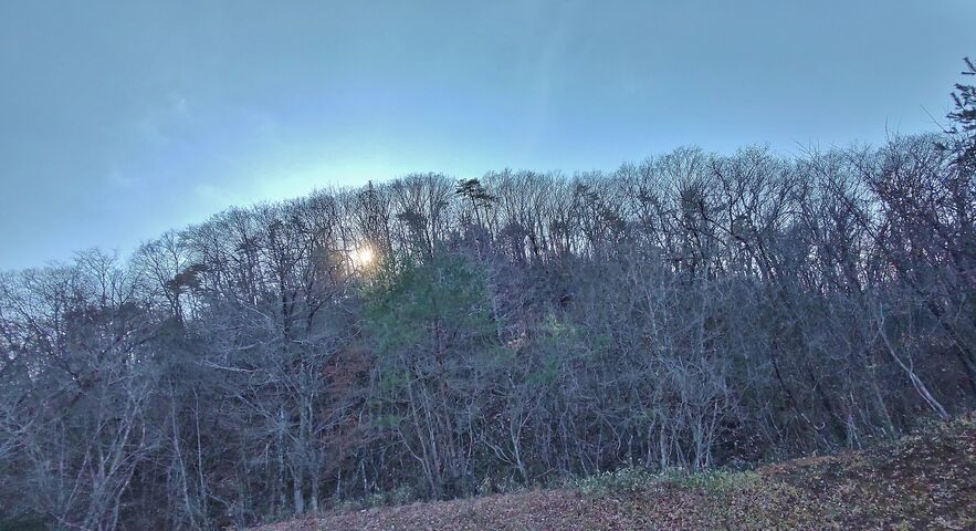 IMG_20221211_133802765_HDR