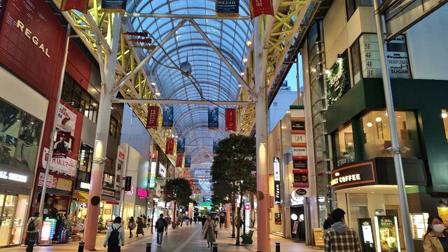IMG_20221124_162912229_HDR