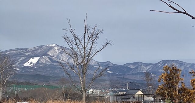 IMG_20220219_080711950 (640x338)