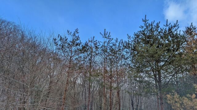 PXL_20260122_012344373