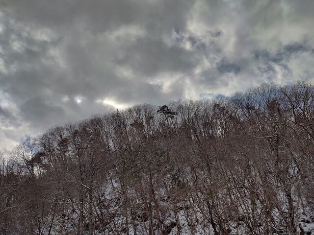 IMG_20220205_131701637_HDR