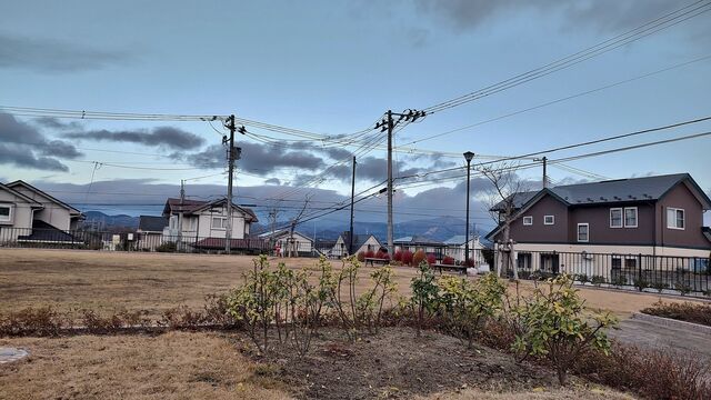 IMG_20221201_064420622_HDR