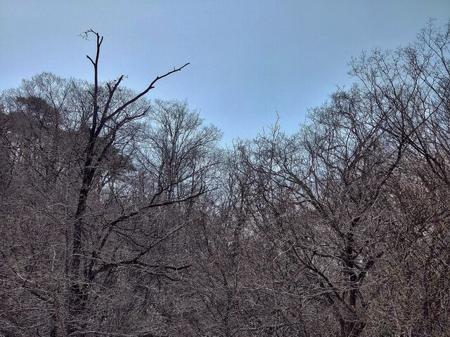 IMG_20220410_100019997_HDR