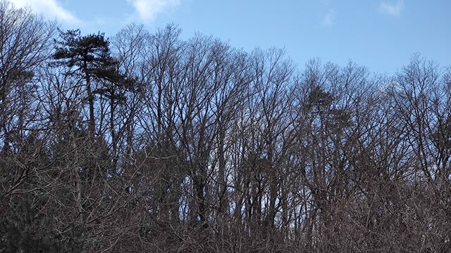 IMG_20230122_111334469