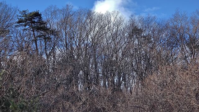 IMG_20221230_102035531