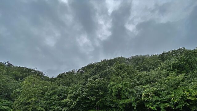 IMG_1397